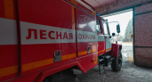 В Нижегородской области за неделю вспыхнуло несколько лесов