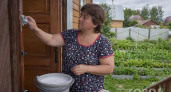 Сделала невидимый щит у двери из простого раствора: отпугивает муравьев и комаров лучше тяжёлой химии