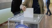 Безработный чуваш стал первым кандидатом на выборы в Госдуму по нижегородским округам