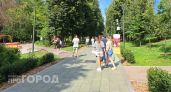 В Нижегородской области снизилась численность теневой занятости