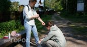 Забудьте про дорогих репеллентов: 7 копеечных запахов отпугнут клещей на подходе к вашему участку
