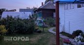 Мои соседи завидуют моему урожаю: секретный ингредиент, который я нахожу прямо под ногами