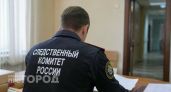 Директор фирмы в Нижнем Новгороде обманул медучреждение на 1,4 миллиона рублей