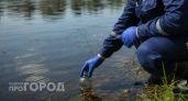 Суд обязал семеновское предприятие возместить 1,5 миллиона рублей ущерба за загрязнение реки Белбаж