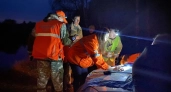 В Нижегородской области за июнь живыми нашли 111 пропавших человек