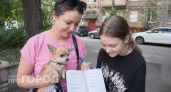 Хватит называть их неправильно: как на самом деле величать детеныша чихуахуа и не попасть впросак в компании