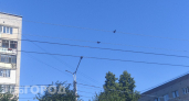 Ураган в Арзамасском районе, пожар в Починках и расследование дела о помощи ребенку: главные новости за 4 июля