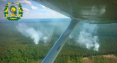 Два лесных пожара произошли в Нижегородской области за неделю из-за гроз