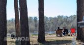 Минлесхоз назвал самые опасные сейчас леса в Нижегородской области, которые не стоит посещать