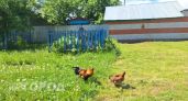 Уехали из города в поселок и не ожидали, что больше всего изменится совсем не бюджет