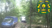 Двое неизвестных на грузовиках приехали в лес в Кстовском районе и сбросили туда 7 кубометров отходов 