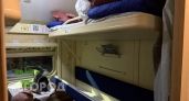 "Лучше боковушка, чем купе": опытные пассажиры назвали идеальное место в поезде