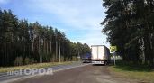 Названы самые опасные трассы и участки в Нижегородской области, где чаще всего животные выбегают на дорогу 