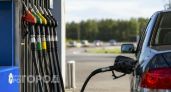 Нижегородские водители игнорируют ПДД, пока стоят в очереди за бензином