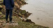 За разлив неочищенных стоков в Первомайске предприятие привлекли к уголовной ответственности 