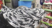 Мохнатые коврики из "Фикс Прайса" к порогу не бросила: вот как превратила старую мебель в шикарный интерьер