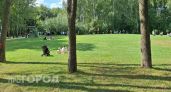 Нижегородцев ожидает теплое солнечное воскресенье