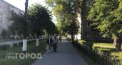 Пропавшего подростка в Красных Баках ищут неделю - объявлено вознаграждение 100 тысяч рублей