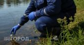 Экологические нарушения выявили на очистных сооружениях в Нижегородской области
