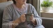 Пенсионерка из Арзамаса испугалась за свои деньги и за два дня рассталась с 1,7 миллиона рублей