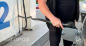 В Нижегородской области могут увеличить число работающих заправок