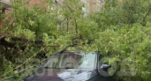 В Нижнем Новгороде из-за мощной бури повалило деревья и перестали работать светофоры