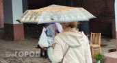 Секрет долгожителей старше 85 лет раскрыт учеными ННГУ