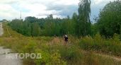 Минлесхоз обновил карту лесов в Нижегородской области, которые пока нельзя посещать