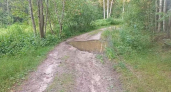 15-летняя девочка на квадроцикле врезалась в дерево в Городецком районе