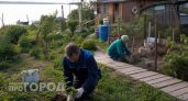 Ушел от людей на необитаемый остров на 40 лет: как я обустроил свой быт и почему не хочу возвращаться назад