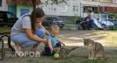 Я не смогла сдержать улыбку при просмотре этих кадров: кошачьи шалости помогут вам отвлечься от проблем