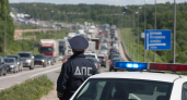 Под Нижним Новгородом дикий кабан остановил движение и собрал 10-километровую пробку