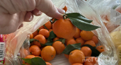 Мандариновые корки заливаю растительным маслом — все лето радуюсь своей задумке: мой простой лайфхак
