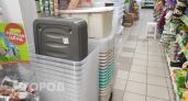 Нашла в Fix Price вещь за 199 рублей, которая спасла мой дачный участок от вечного беспорядка: теперь советую всем