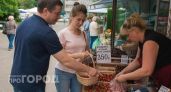 Кому клубника жизненно необходима: врачи назвали группу людей, которым эта ягода заменит половину аптечки