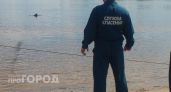В Сормовском районе из озера вытащили тело 23-летнего парня