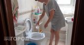 Заливаю это копеечное средство в унитаз перед сном: утром налет исчезает сам и возвращается белизна
