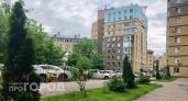 Нижегородцам объяснили, как действовать, если во дворе накренилось и грозит упасть дерево