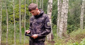 Беспилотник в Семеновском районе помог поймать лесоруба-нарушителя с поличным  