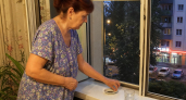 Комары не дают спать: ставлю на подоконник одну кухонную специю - и окна можно не закрывать