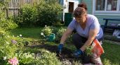 Не трачу ни копейки на бордюрную ленту: делаю клумбы для сада за 15 минут