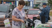 Скупаю маленькие пластиковые горшки в Fix Price - и не только выращиваю в них цветы: 5 крутых идей