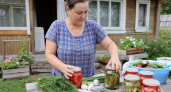 Огурцы «Царская охота»: закатываю каждый год — хрустят звонко, а банки стоят как солдаты