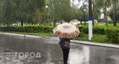 Шквалистый ветер и мощные ливни накроют Нижний Новгород в ближайшие сутки