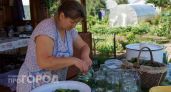 Огурцы перестают хрустеть из-за одной привычки: эту ошибку совершают все хозяйки после закрутки