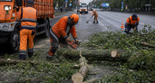 Ночной ураган повалил деревья в разных районах Нижнего Новгорода