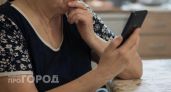 Пенсионерка из Сарова осталась без 1,5 миллиона рублей при покупке японской иномарки
