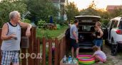 Двадцать лет я бесплатно кормил родню на даче: почему в этом июне я навсегда закрыл свои ворота для гостей