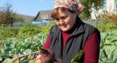 Храню свеклу этим способом – до самой весны сочная и сладкая, и не гниет