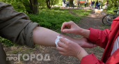 Роспотребнадзор назвал самые опасные районы Нижегородской области по укусам клещей